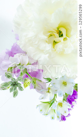 White and purple fresh bouquet background photo close-up vertical offering 129565299