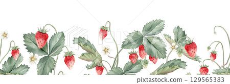 Seamless horizontal border or banner with wild strawberries and white flower. Hand drawn watercolor illustration on white isolated background. Floral pattern for frame or banner with woodland berries Seamless horizontal border or banner with wild strawberries and white flower. Hand drawn watercolor illustration on white isolated background. Floral pattern for frame or banner with woodland berries 129565383