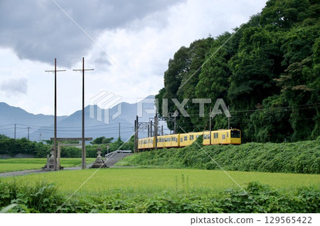 黃色的桑吉鐵路列車穿過鄉村 129565422