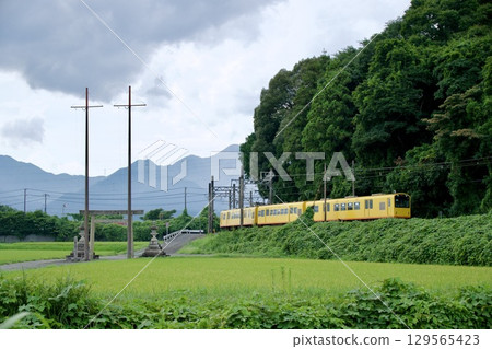 黃色的桑吉鐵路列車穿過鄉村 129565423