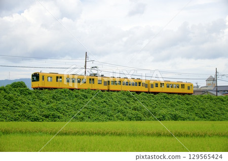 The yellow Sangi Railway train running through the countryside The yellow Sangi Railway train running through the countryside 129565424