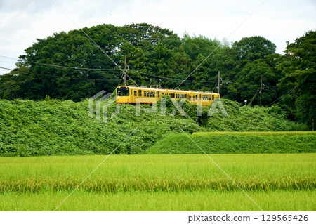 The yellow Sangi Railway train running through the countryside The yellow Sangi Railway train running through the countryside 129565426