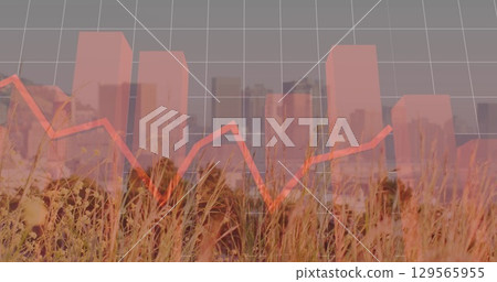 Displaying red bar chart and jagged line graph over dry grass and city skyline, data visualization 129565955