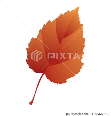 Hand-drawn autumn colored red maple leaf isolated on white background. Flat line style vector illustration. Hand-drawn autumn colored red maple leaf isolated on white background. Flat line style vector illustration. 129566152