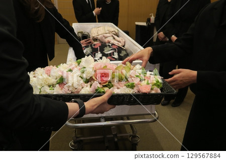 Farewell Flower 129567884