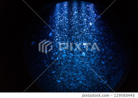 Jellyfish Dream Theater at Kamo Aquarium 129568448