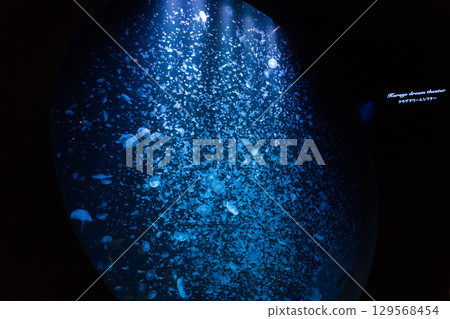 Jellyfish Dream Theater at Kamo Aquarium 129568454