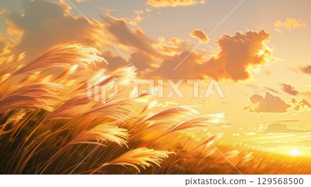 Golden-colored silver grass spikes 129568500