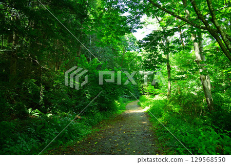 Nagano Prefectural Karasugawa Valley Green Space Nagano Prefectural Karasugawa Valley Green Space 129568550