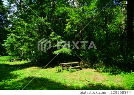 長野縣烏川溪谷綠地 129568574