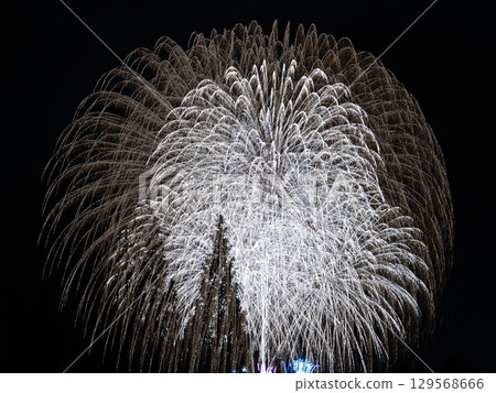 愛知川祇園夏日祭煙火大會 愛知川祇園夏日祭煙火大會 129568666