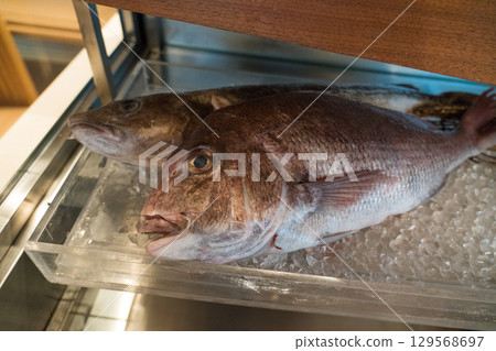 MOON TERRASSE at Suiden Terrace 129568697