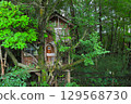 Treehouse	 129568730