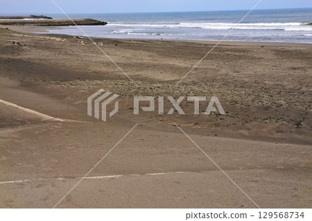 海濱 海濱 129568734