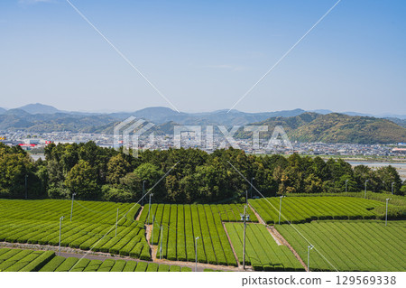 島田市中條影秋雕像公園週邊風景(靜岡縣) 島田市中條影秋雕像公園週邊風景(靜岡縣) 129569338