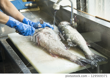 鮮魚店 129569371