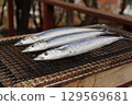 Charcoal grilled saury 129569681