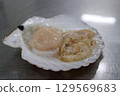 Freshly shucked scallops 129569683