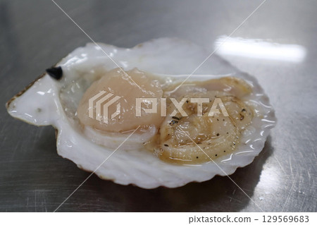 Freshly shucked scallops 129569683