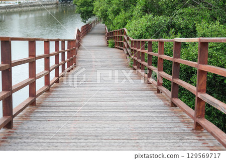 Wooden walkway surrounded by greenery. Mangrove Forest Learning Center Phra Chedi Klang Nam Rayong Thailand 129569717