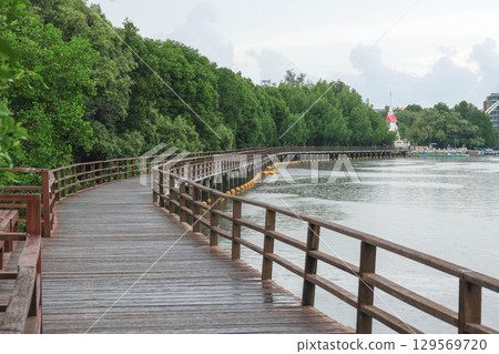 Scenic boardwalk winding through lush greenery by a calm water body. Mangrove Forest Learning Center Phra Chedi Klang Nam Rayong Thailand 129569720