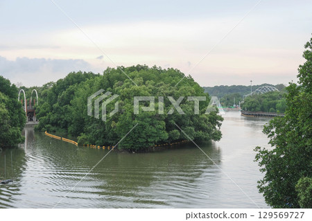 A serene river scene with lush greenery and gentle ripples. Mangrove Forest Learning Center Phra Chedi Klang Nam Rayong Thailand 129569727