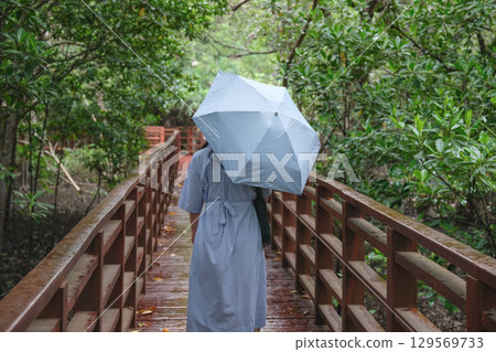 A woman walking on a bridge with an umbrella in a green environment. Mangrove Forest Learning Center Phra Chedi Klang Nam Rayong Thailand A woman walking on a bridge with an umbrella in a green environment. Mangrove Forest Learning Center Phra Chedi Klang Nam Rayong Thailand 129569733