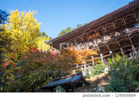 Maniden Hall, Historic building surrounded by vibrant autumn foliage at Engyoji mountain Shosha, Himeji, Japan 129569804