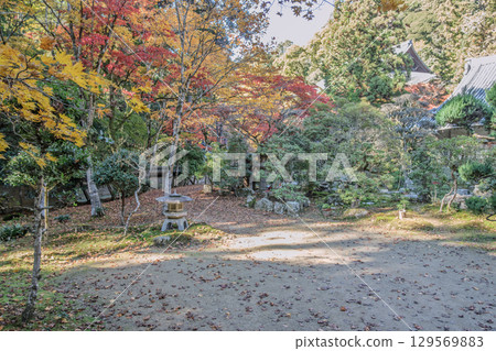 Serene autumn garden with colorful foliage Serene autumn garden with colorful foliage 129569883