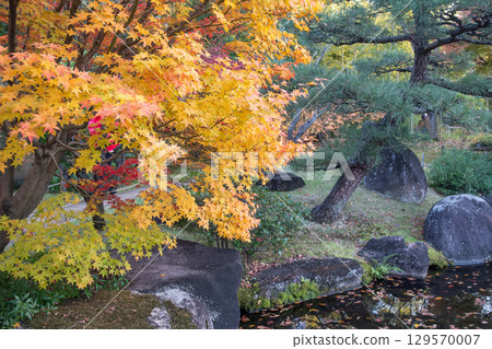 Autumn foliage by a tranquil pond at Kokoen Garden ,Himeji, Japan 129570007