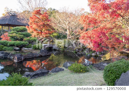 Serene garden with autumn foliage and pond reflections at Kokoen Garden ,Himeji, Japan 129570008
