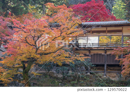 Autumn foliage by a traditional building at Hozugawa River 129570022