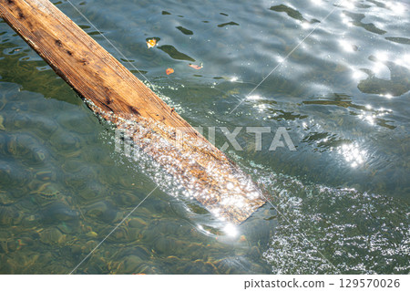 Wooden paddle board on the boat at Hozugawa River 129570026