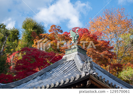 Autumn foliage above traditional architecture at Arashiyama, Japan 129570061
