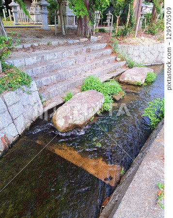 Waterway 129570509
