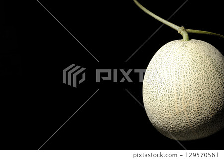 A whole melon photographed against a black background 129570561