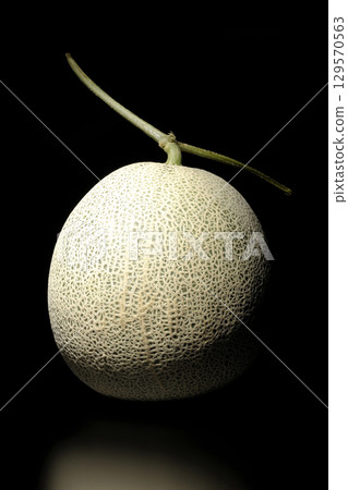 A whole melon photographed against a black background 129570563