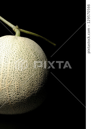 A whole melon photographed against a black background 129570566
