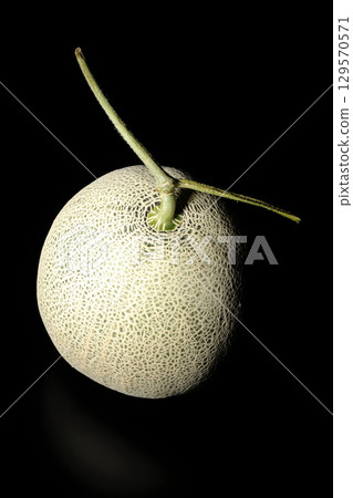 A whole melon photographed against a black background 129570571