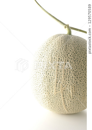 白色背景下拍攝的整個甜瓜 129570589