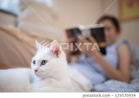 A girl reading a book with a white cat relaxing at home 129570934