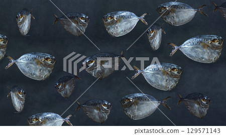 Collage with moonfish on a dark background 129571143