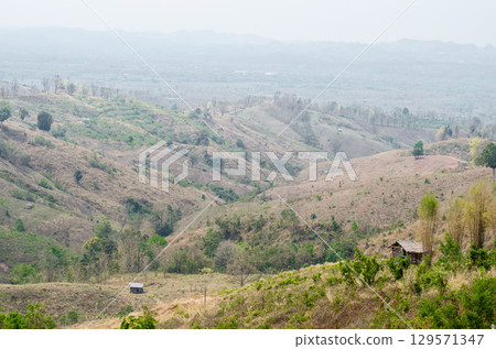 deforestation problems drought area 129571347