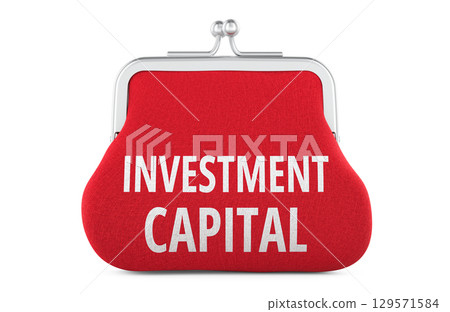 Investment Capital, coin purse. 3D rendering 129571584
