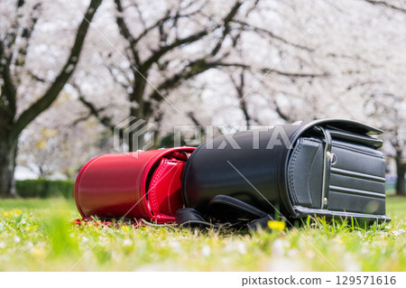 school bag  129571616