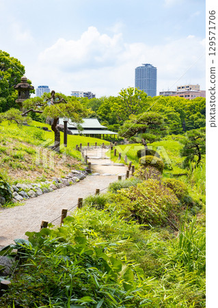 Kiyosumi garden in early summer 129571706