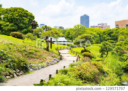 Kiyosumi garden in early summer Kiyosumi garden in early summer 129571707