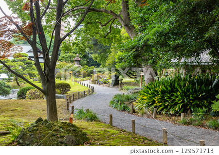 Kiyosumi garden in early summer 129571713