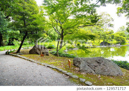 Kiyosumi garden in early summer Kiyosumi garden in early summer 129571717