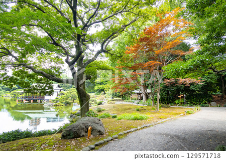 Kiyosumi garden in early summer Kiyosumi garden in early summer 129571718